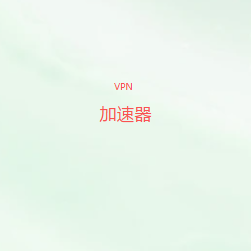 VPN加速器下载