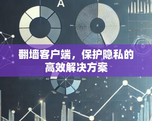 翻墙客户端,保护隐私的高效解决方案 翻墙客户端,保护隐私的高效解决方案