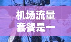 机场流量套餐是一种为乘客提供流量限制和优惠的服务,旨在平衡用户体验和经济性。以下是详细介绍 机场流量套餐是一种为乘客提供流量限制和优惠的服务,旨在平衡用户体验和经济性。以下是详细介绍