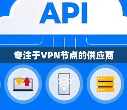 专注于VPN节点的供应商
