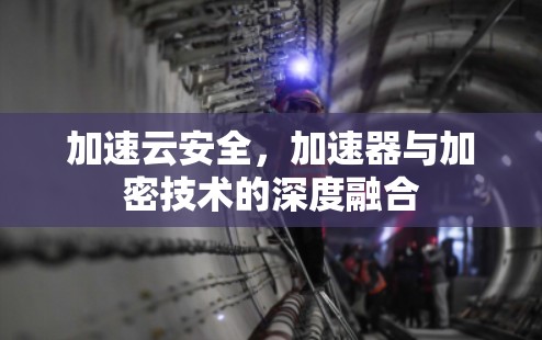 加速云安全，加速器与加密技术的深度融合