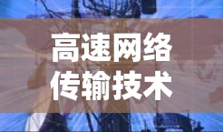 高速网络传输技术,保障网络安全
