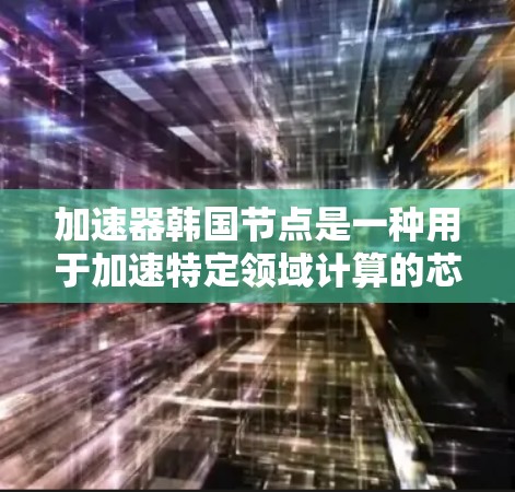 加速器韩国节点是一种用于加速特定领域计算的芯片或处理器设计，其主要应用包括