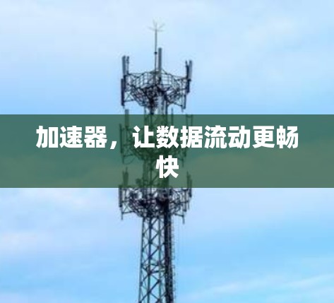 加速器,让数据流动更畅快