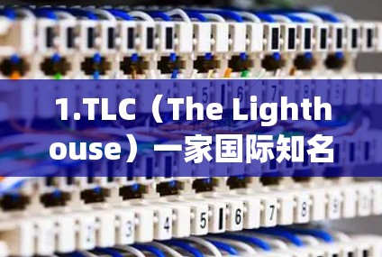 1.TLC（The Lighthouse）一家国际知名的VPN服务，提供免费的网络访问和加速功能