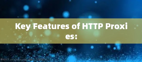 Key Features of HTTP Proxies: