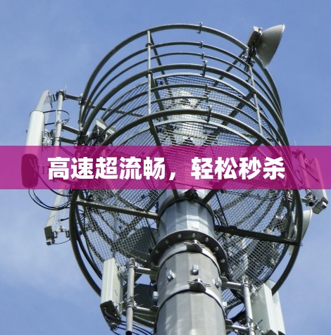 高速超流畅,轻松秒杀
