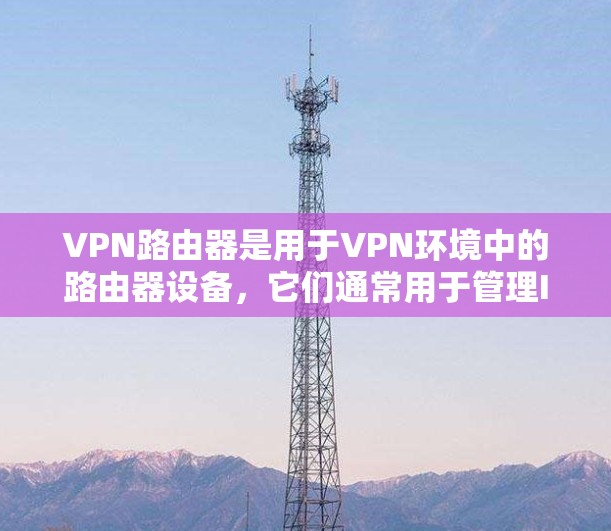 VPN路由器是用于VPN环境中的路由器设备,它们通常用于管理IP地址、防火墙、VLAN、IPsec安全和网络路由等功能。以下是几种常见的VPN路由器版本及其特点