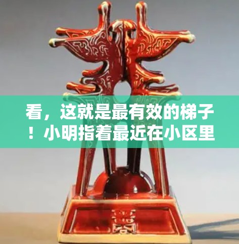 看,这就是最有效的梯子!小明指着最近在小区里安装的那座漂亮的木梯,兴奋地喊道。这木梯上布满了细小的铁钉,却能轻松将小明从地下带出小区,让小美在楼道里也能轻松爬升到新家的楼上