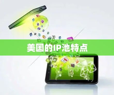 美国的IP池特点