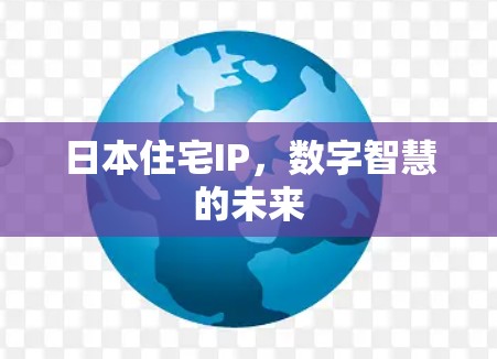 日本住宅IP,数字智慧的未来