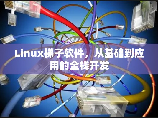 Linux梯子软件,从基础到应用的全栈开发