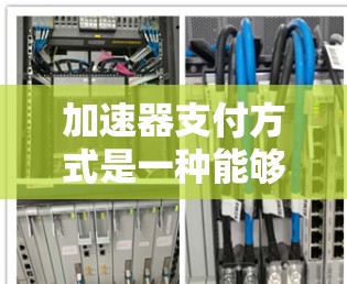 加速器支付方式是一种能够加快支付速度的支付方式，通常指那些通过特定技术或设备使得支付流程更快、更高效的方式。以下是一些常见的加速器支付方式及其特点