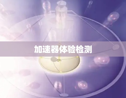 加速器体验检测