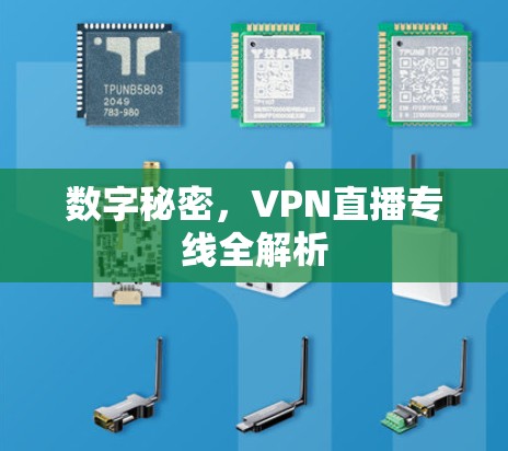 数字秘密,VPN直播专线全解析