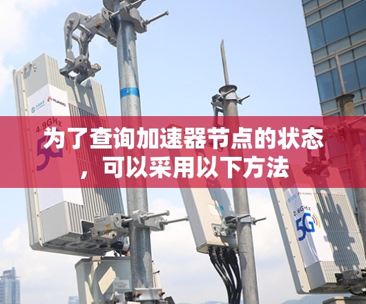 为了查询加速器节点的状态，可以采用以下方法