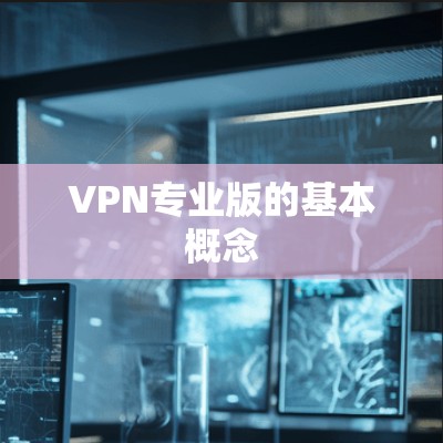 VPN专业版的基本概念 VPN专业版的基本概念