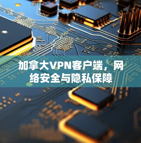 加拿大VPN客户端,网络安全与隐私保障